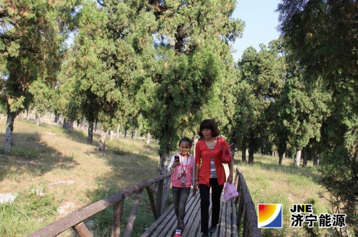 运河煤矿职工王洪美荣获“市优秀爱心妈妈”称号