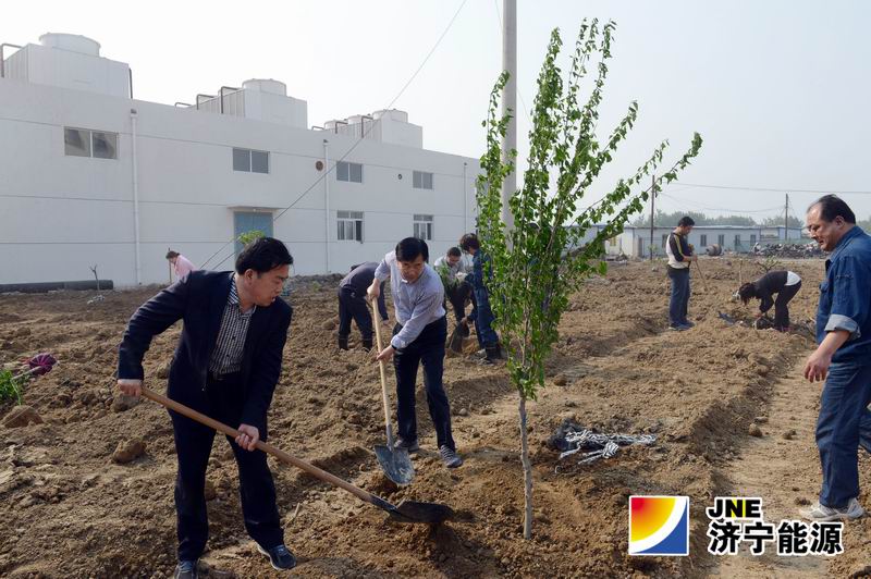 安居煤矿组织义务劳动为矿区绿化做功课