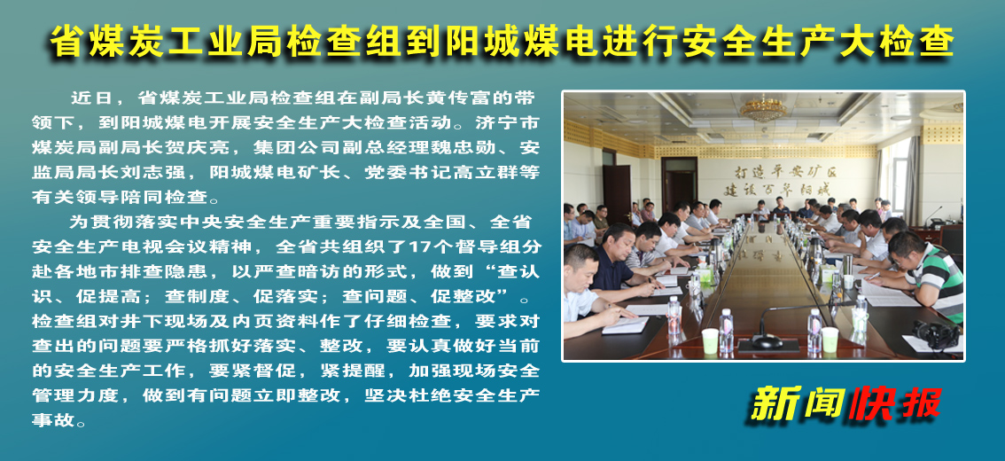 【图文】省煤炭工业局检查组到阳城煤电进行安全生产大检查