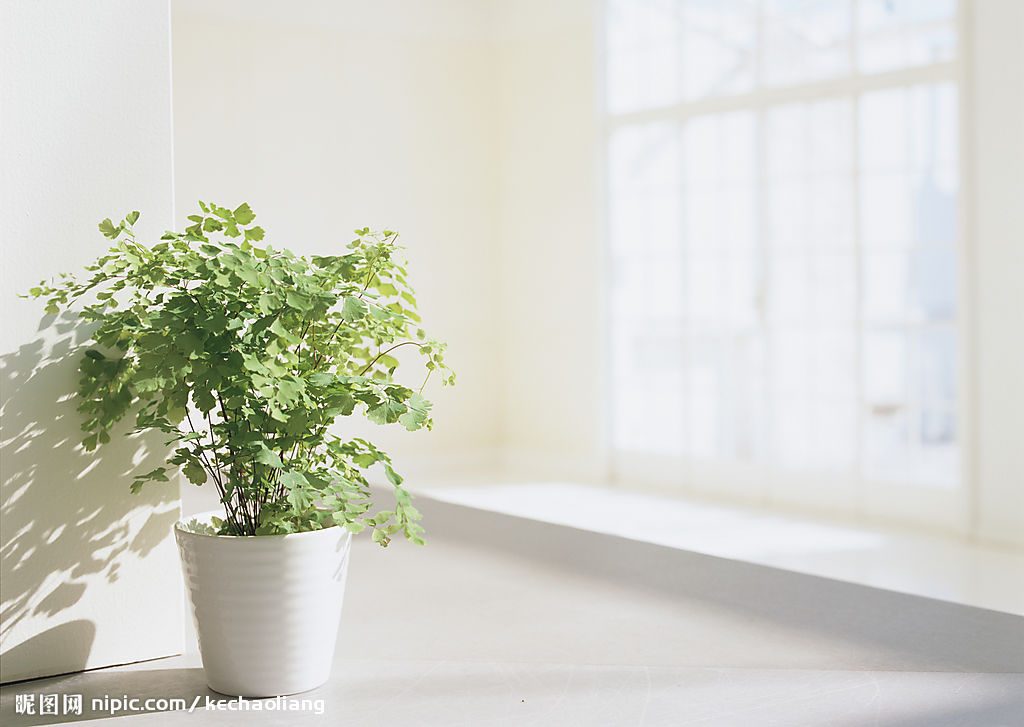 绿色心情（鹿洼煤矿&nbsp;张春刚）