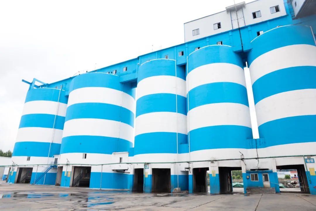 1690026810675381.jpg 640 (6).jpg