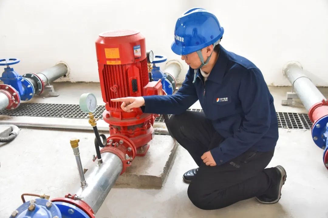 1709186078678008.jpg 64011.jpg