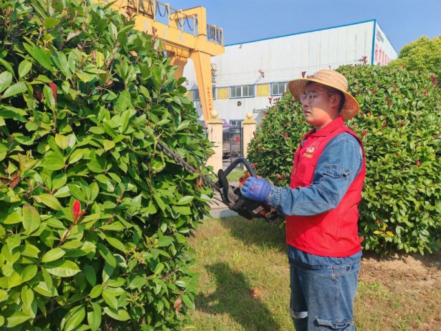 文明实践月丨花园煤矿美化环境来参与，文明实践在行动