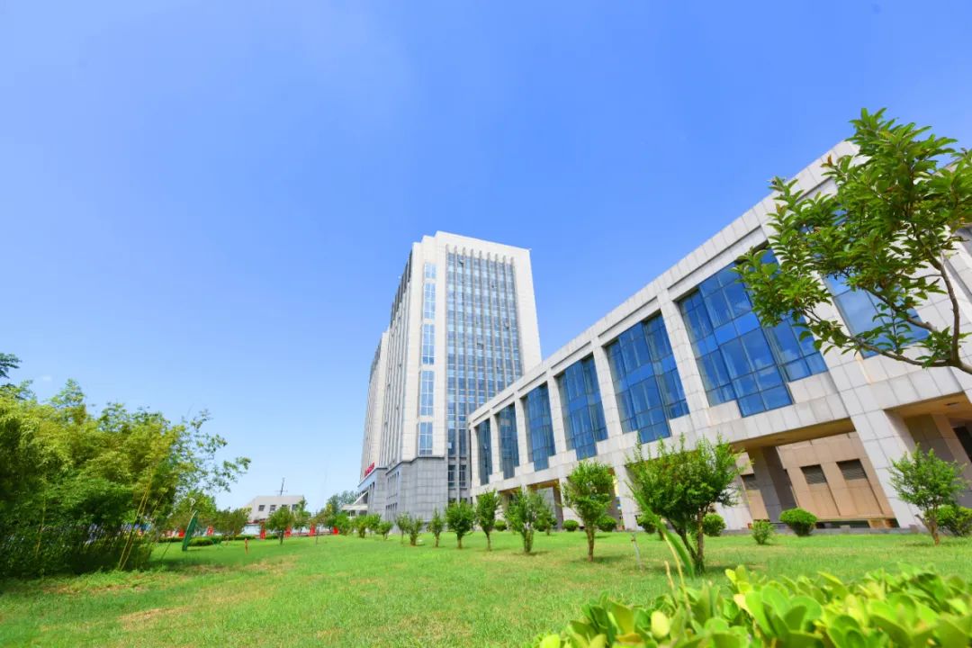 1737274843883098.jpg 0010.jpg