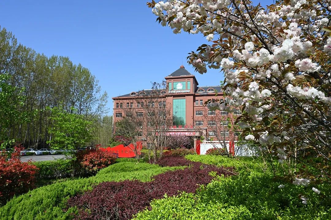 1749545003268001.jpg 05.jpg