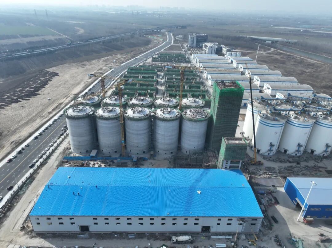 1770685981633772.jpg 02.jpg